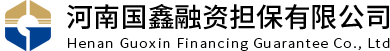 河南国鑫融资担保有限公司