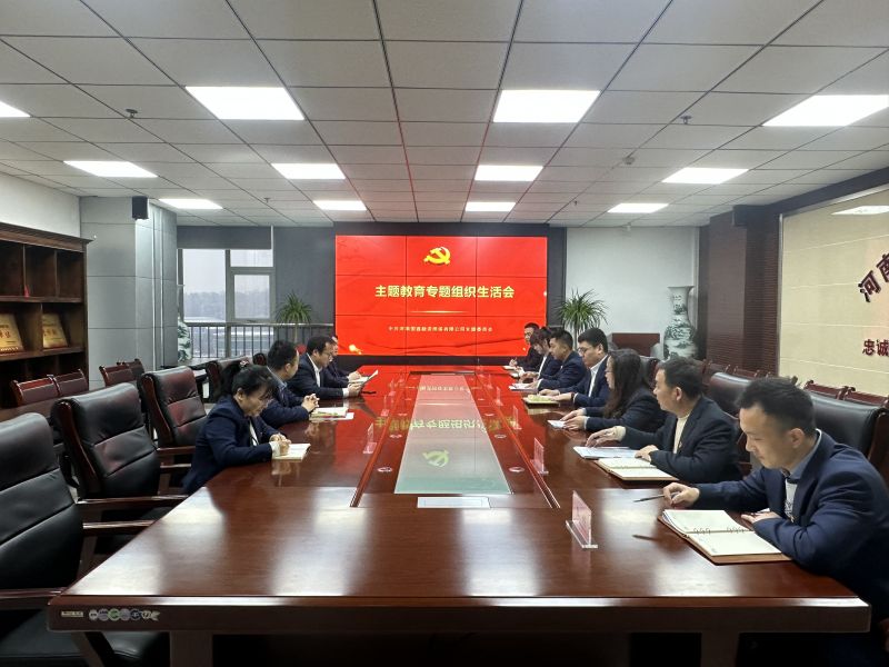 国鑫担保党支部召开主题教育专题组织生活会