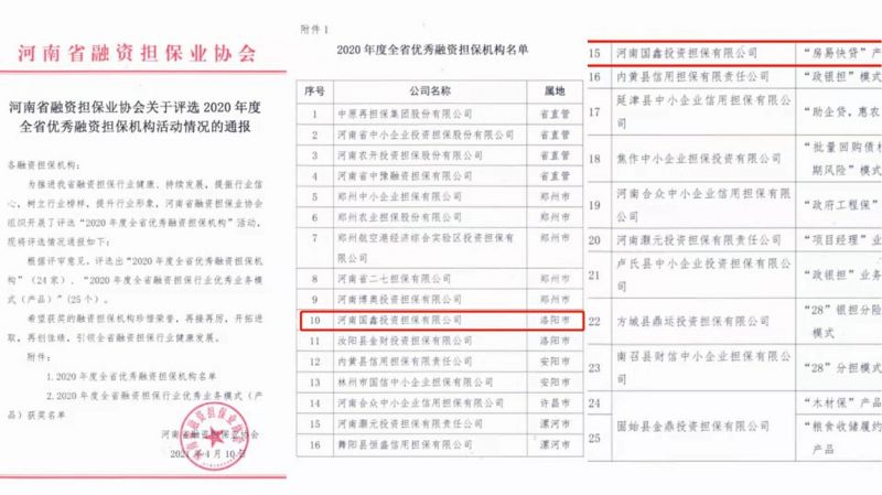 喜报！国鑫担保入选全省2020年度优秀融资担保机构