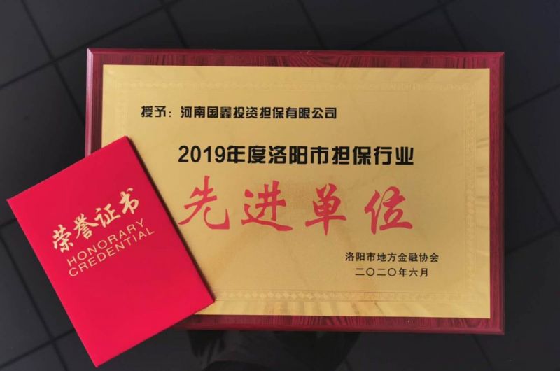 国鑫公司荣获地方金融协会“2019年度洛阳市担保行业先进单位” 