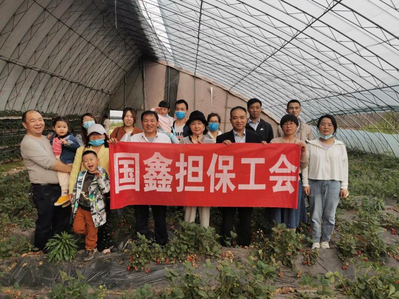 2022年摘草莓活动新闻稿