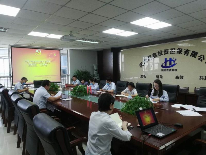 中共河南国鑫投资担保有限公司支部委员会 开展“话担当、比作为”主题党日活动