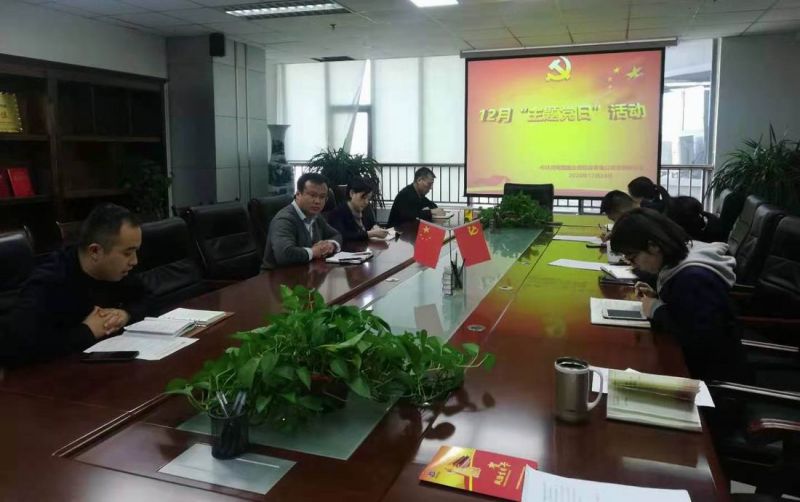 国鑫担保党支部开展 “巩固主题教育成果，谋划明年党建工作” 主题党日活动