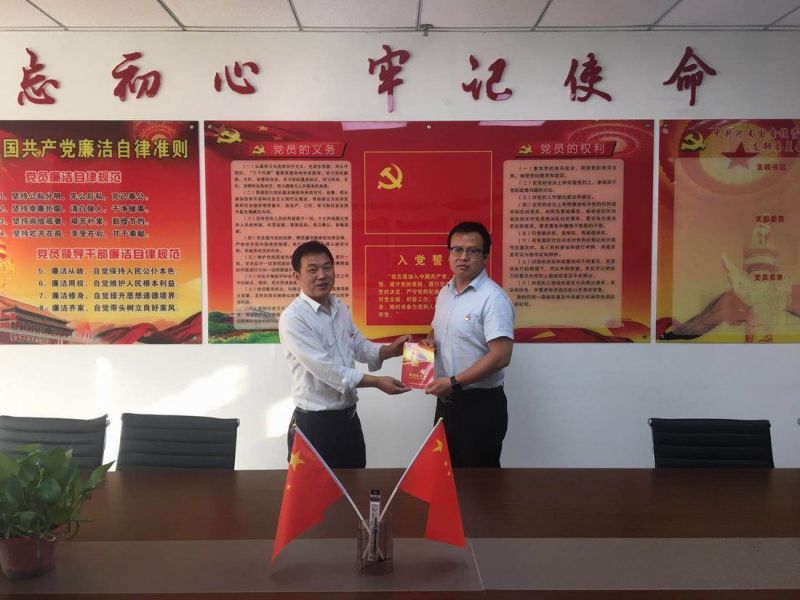 中共河南国鑫投资担保有限公司支部委员会 开展“强使命、找差距、明举措、勇担当”专题组织生活会