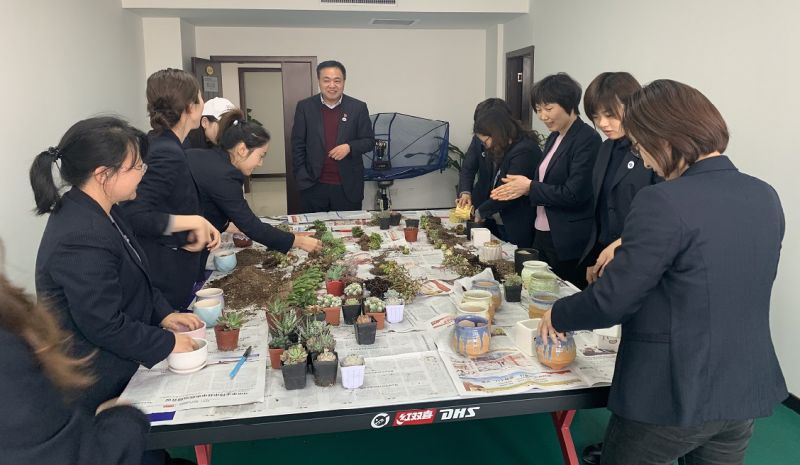 国鑫担保工会举办 “三八”妇女节种植多肉植物活动