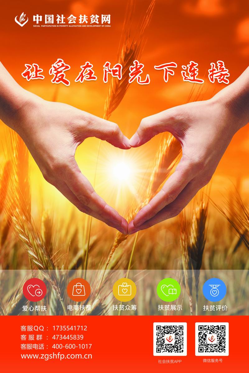 海报小麦2.jpg