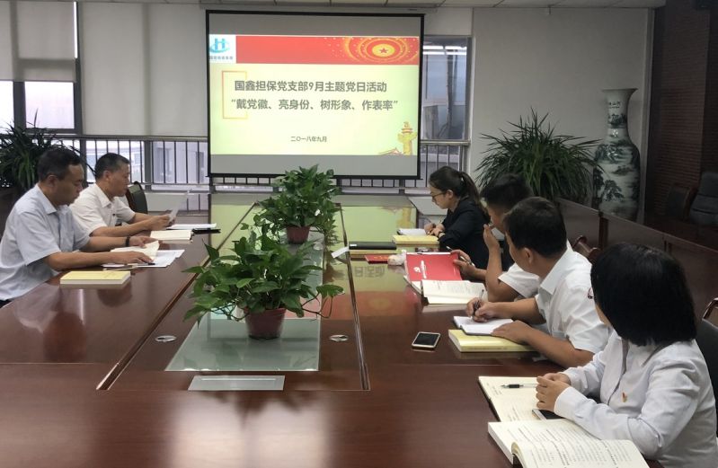 国鑫担保党支部组织开展“戴党徽、亮身份、树形象、作表率” 9月份主题党日活动
