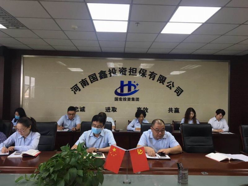 河南国鑫投资担保有限公司 召开扫黑除恶专题宣传会议