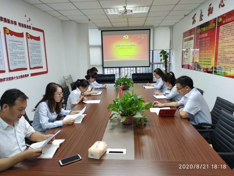 中共河南国鑫投资担保有限公司支部委员会 开展专项以案促改组织生活会