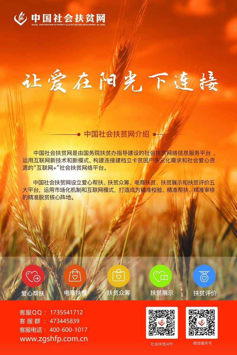 海报小麦.jpg