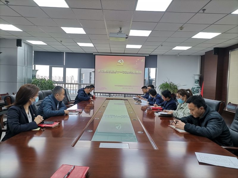国鑫担保党支部传达学习省第十一次党代会精神