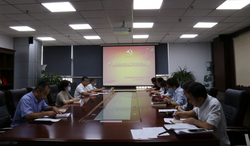 国鑫担保互动交流式“主题党日”活动 焕发组织新活力