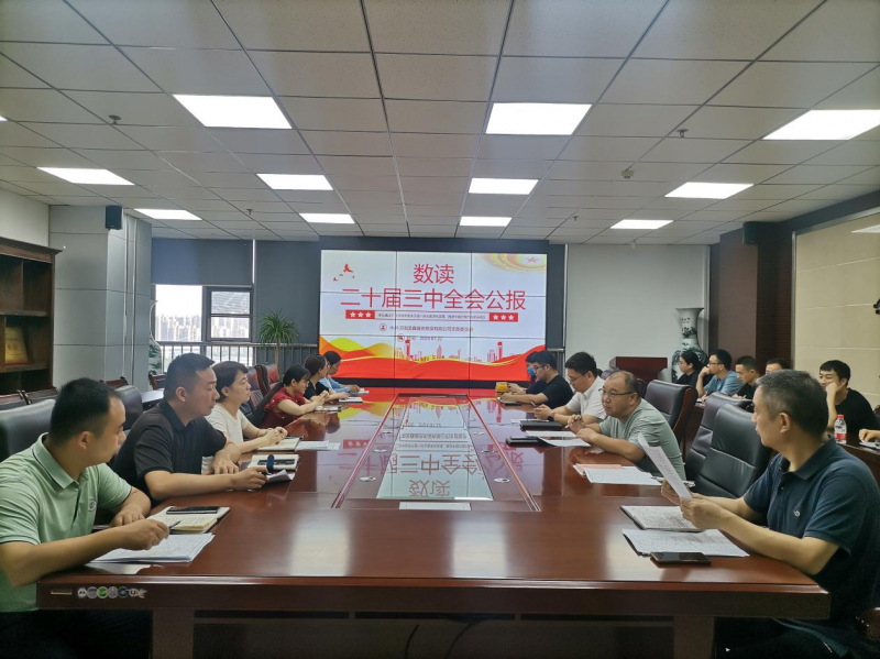 国鑫担保传达学习党的二十届三中全会精神